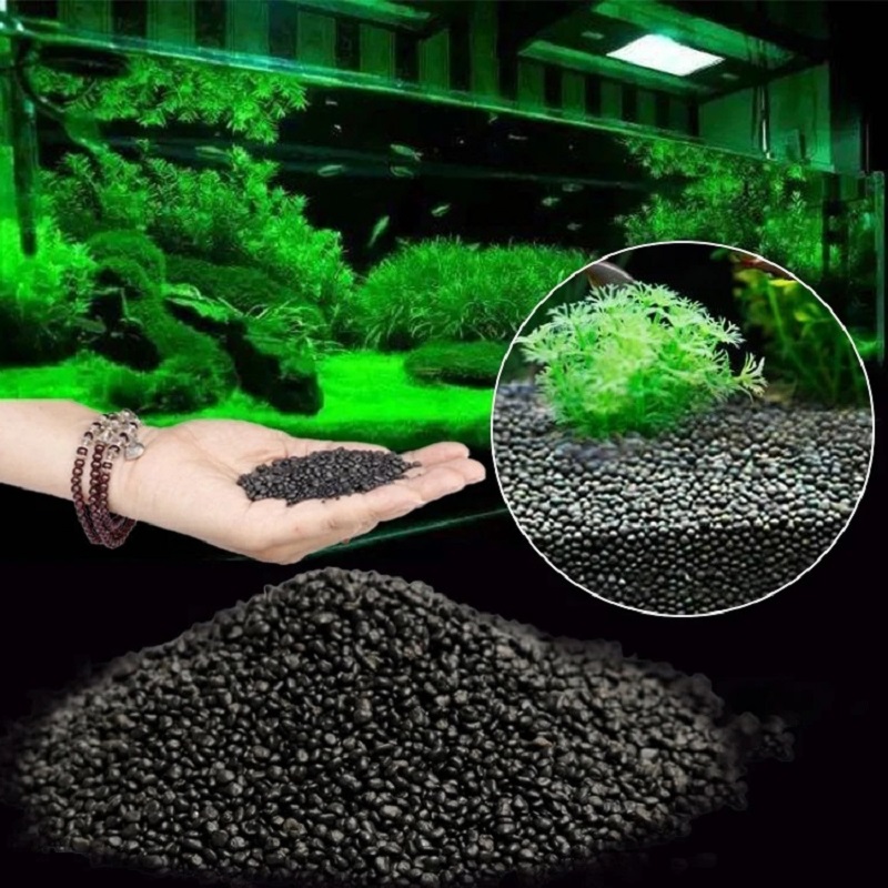 어항 수초 진흙 식물 씨앗 흙 수족관 바닥 모래 영양  - Aquarium Plant Seeds 리뷰 및 가격