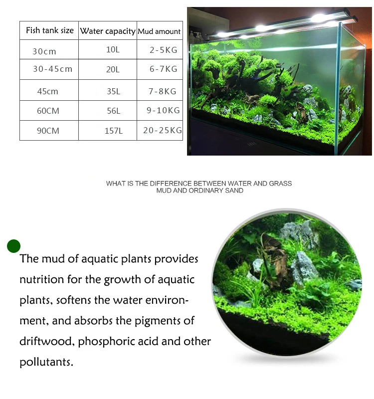 어항 수초 진흙 식물 씨앗 흙 수족관 바닥 모래 영양  - Aquarium Plant Seeds 리뷰 및 가격
