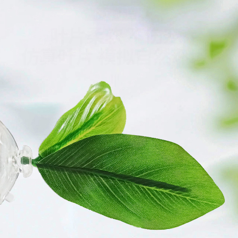 베타 물고기를 위한 녹색 잎 모양 해먹 1개, 스트레스 - Planted Aquarium For Betta 리뷰 및 가격