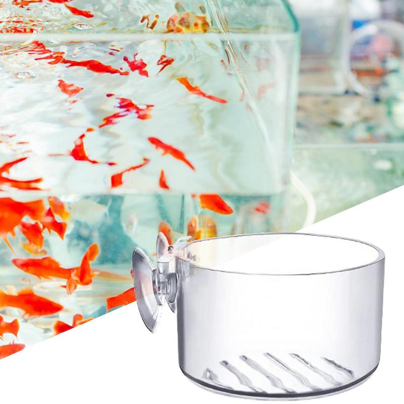 수족관 식물 화분 유리 실린더 컵, 빨판 포함, 수생  - Aquarium Plant Seeds 리뷰 및 가격