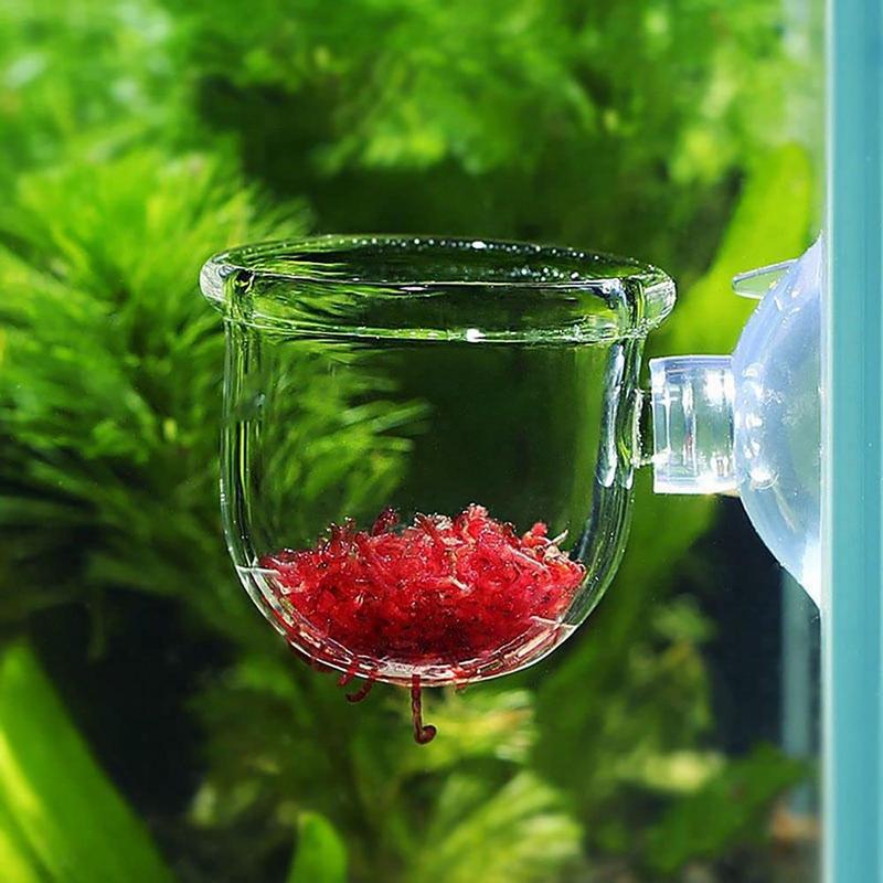 아크릴 수생 식물 컵, 수족관 물 식물 화분, 물잡초  - Aquarium Plant Seeds 리뷰 및 가격