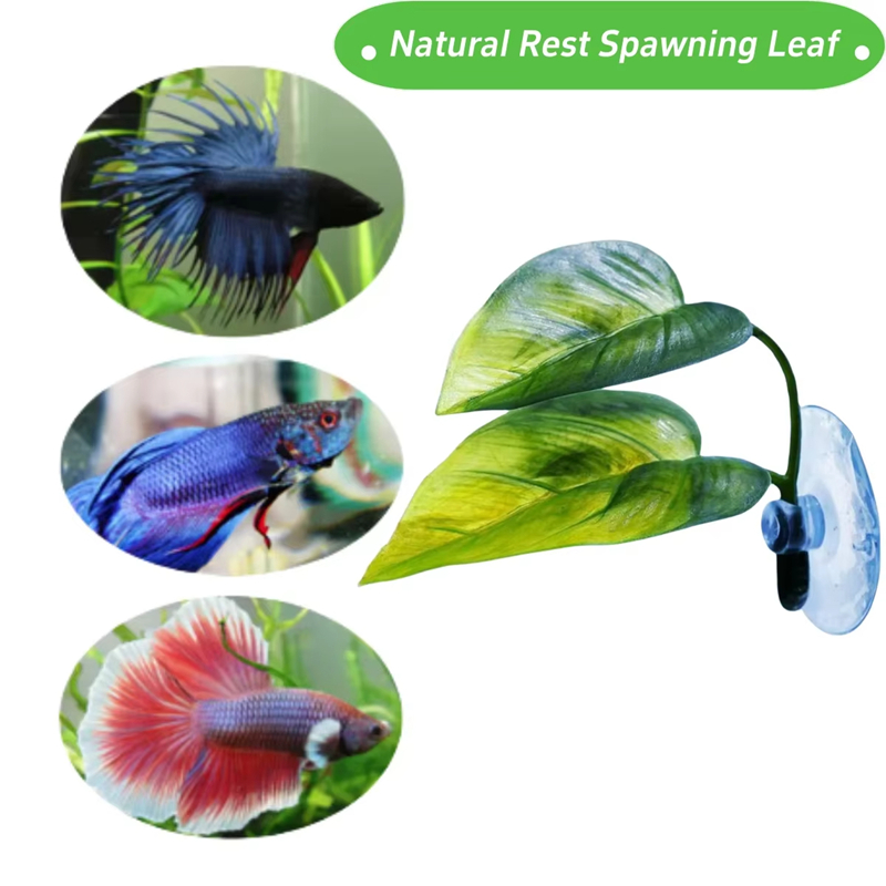 수족관 애완동물 용품 장식 인조 수생 식물 어항 조경  - Planted Aquarium For Betta 리뷰 및 가격