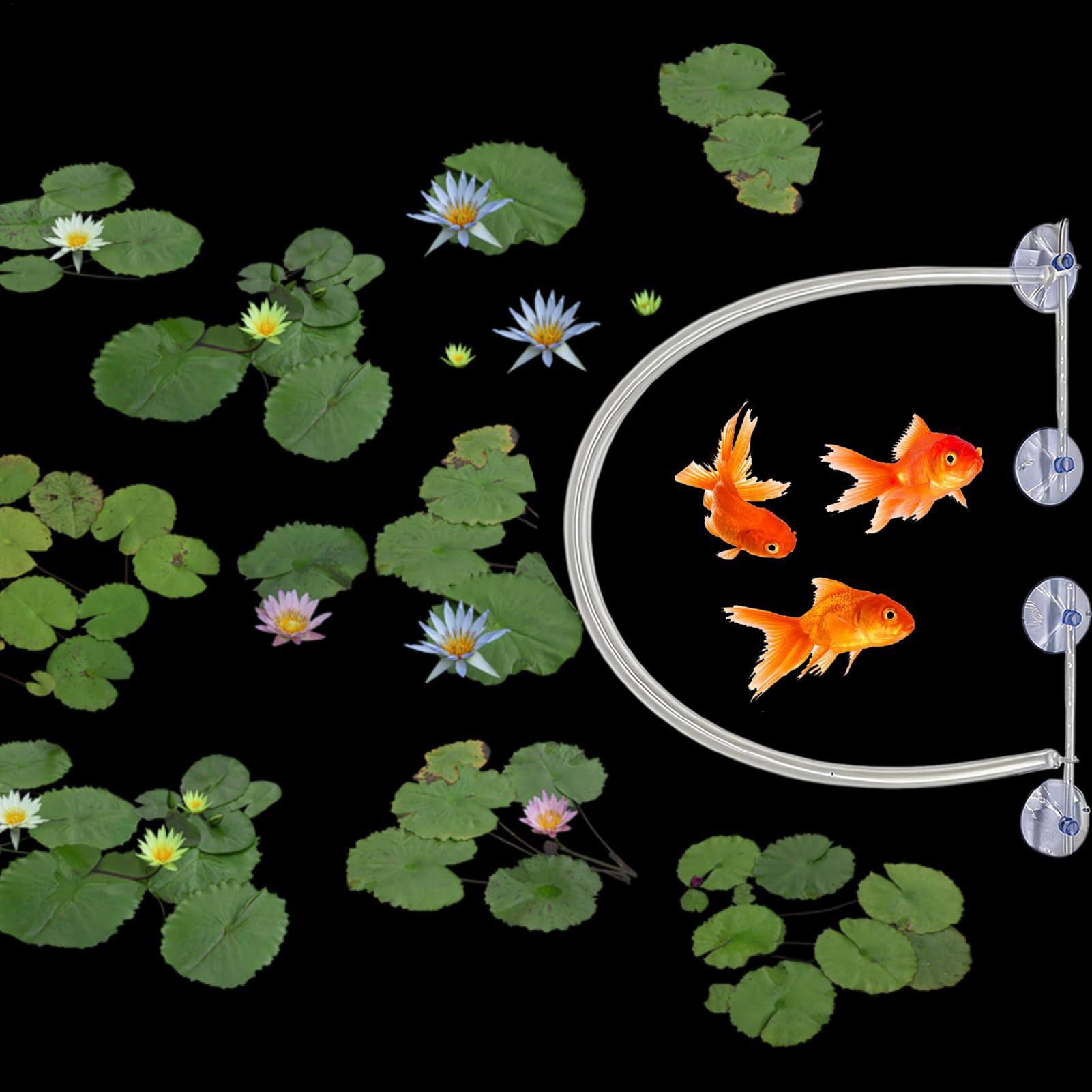 부유식 식물 차단 울타리 자동 높이 조절 가능 흡착 컵 - Planted Aquarium Tank Kit 리뷰 및 가격