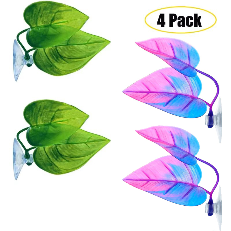 베타 물고기 잎 해먹은 베타 산란 사육 휴식 침대 수족 - Planted Aquarium For Betta 리뷰 및 가격