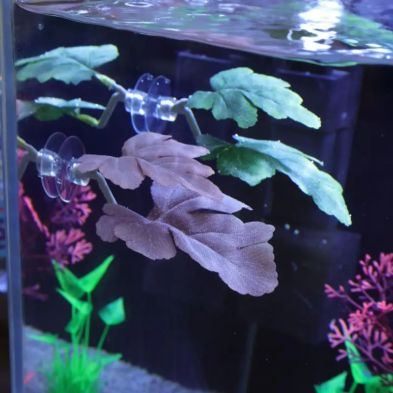 베타 물고기 잎 모양 해먹 수족관 장식 식물 침대 휴식 - Planted Aquarium For Betta 리뷰 및 가격