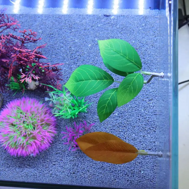 베타 물고기 잎 모양 해먹 수족관 장식 식물 침대 휴식 - Planted Aquarium For Betta 리뷰 및 가격