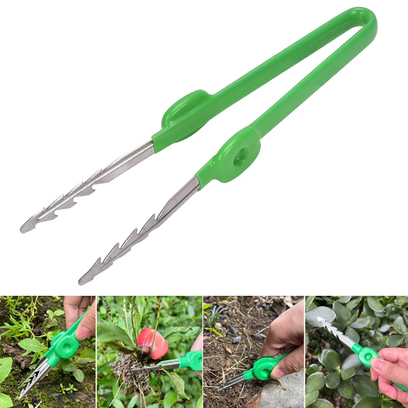 1Pc 원예 족집게 즙이 많은 식물 화분 이식 묘목 족 - Planted Clip Tweezers 리뷰 및 가격