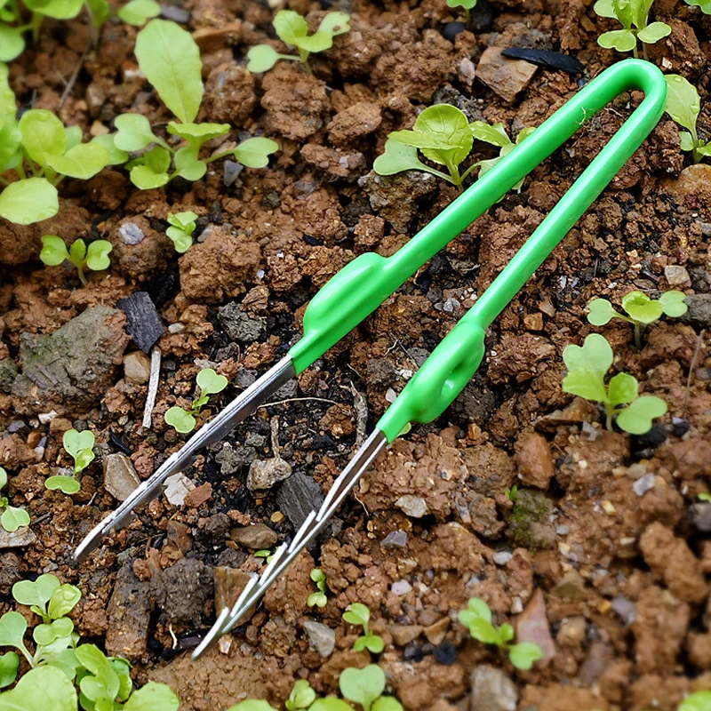 1Pc 원예 족집게 즙이 많은 식물 화분 이식 묘목 족 - Planted Clip Tweezers 리뷰 및 가격
