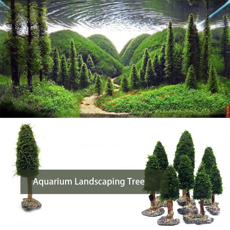 수족관 장식 수생 식물 이끼 나무 소나무, 크리스마스  - Aquarium Plant Seeds 리뷰 및 가격