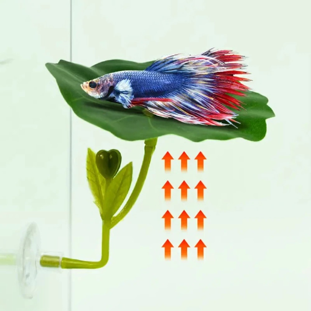 1개입 녹색 잎사귀 베타 물고기 해먹 스트레스 감소 수 - Planted Aquarium For Betta 리뷰 및 가격