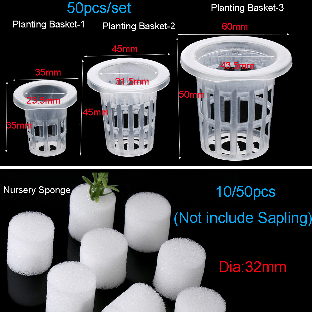 10/50개 내구성 있는 수경재배용 무토양 씨앗 트레이 - Aquarium Plant Seeds 리뷰 및 가격