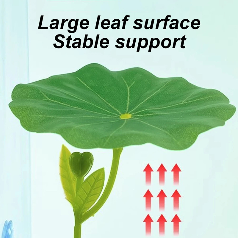 베타 물고기용 스트레스 감소 장치, 수족관 안전 장식품 - Planted Aquarium For Betta 리뷰 및 가격